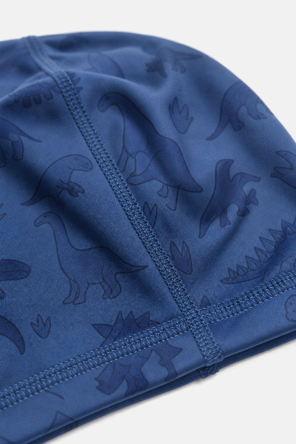 Steel Blue Swim Cap with Dinos view 3